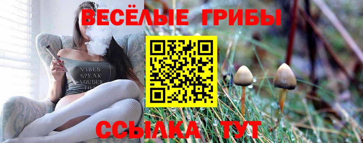 Чернушка  Галлюциногенные грибы Psilocybe  где купить   Вход с VPN  Псилоцибиновые грибы Magic Shrooms 